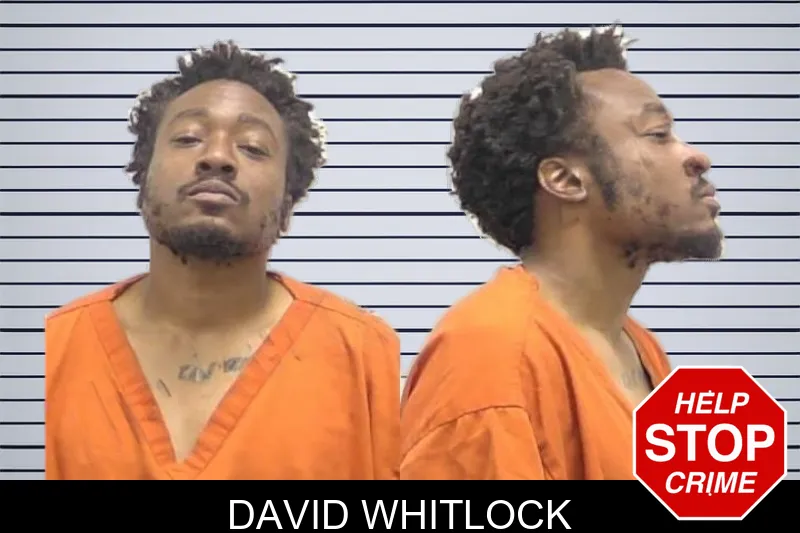 David Whitlock mugshot