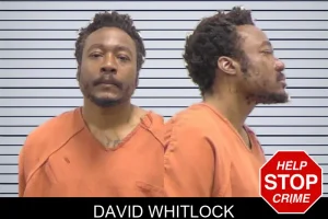 David Whitlock mugshot