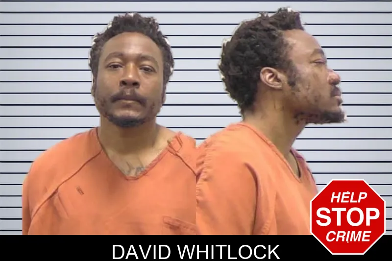 David Whitlock mugshot – Clarke County , Georgia David Whitlock mugshot