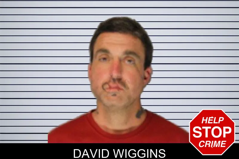 David Wiggins mugshot