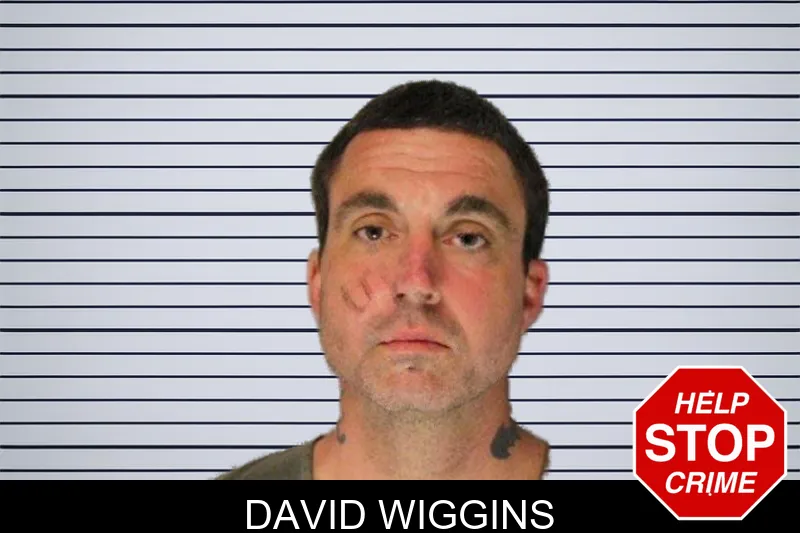 David Wiggins mugshot
