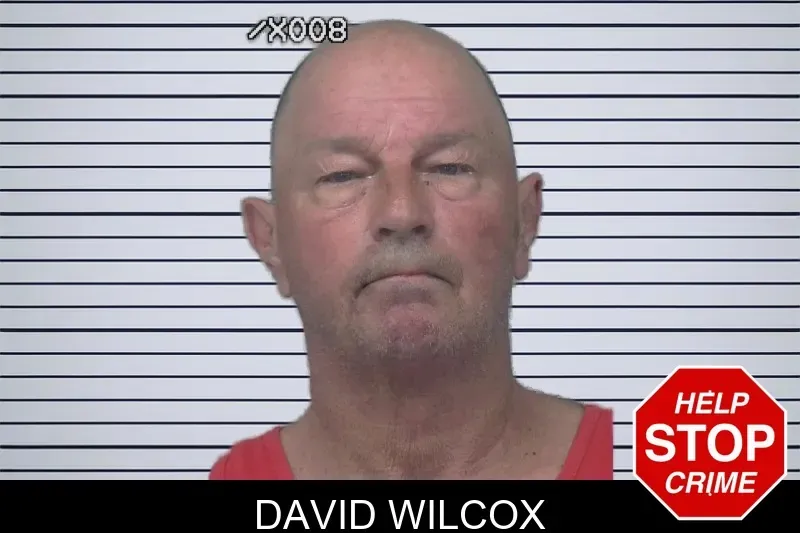 David Wilcox mugshot
