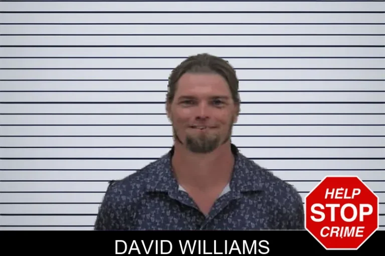 David Williams