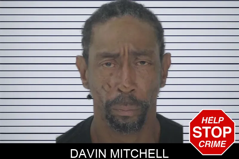Davin Mitchell mugshot – Fayette County , Georgia Davin Mitchell mugshot