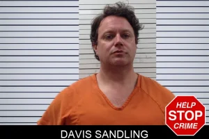 Davis Sandling mugshot