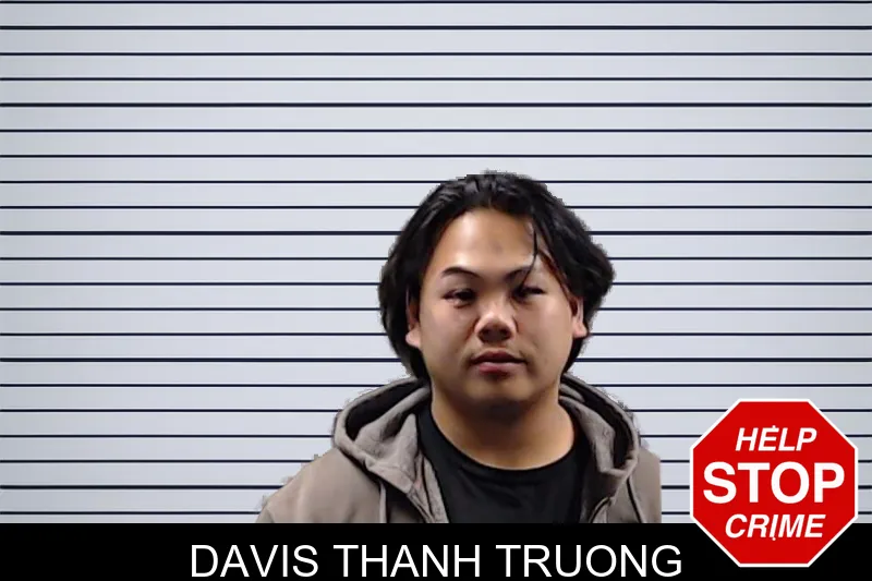 Davis Thanh Truong mugshot