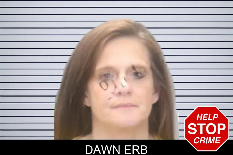 Dawn Erb mugshot
