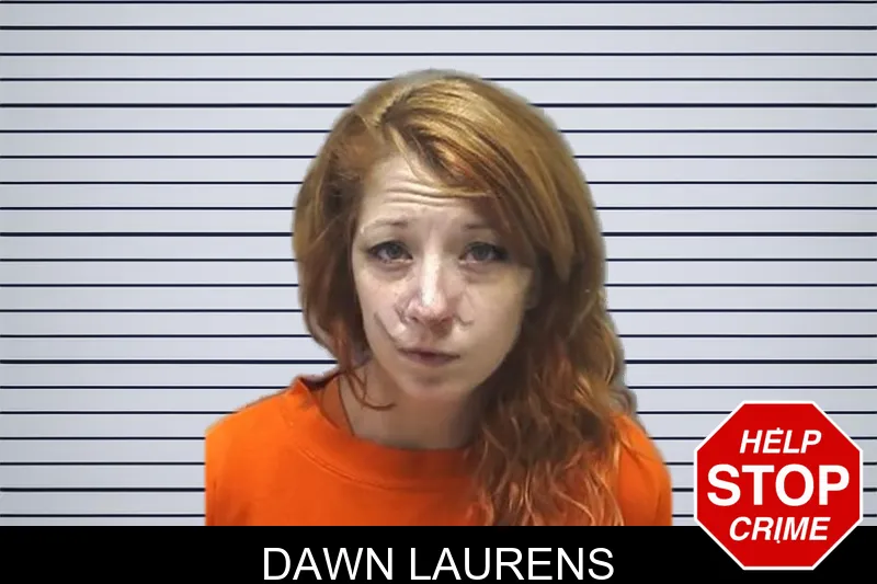 Dawn Laurens mugshot – Cherokee County , Georgia Dawn Laurens mugshot