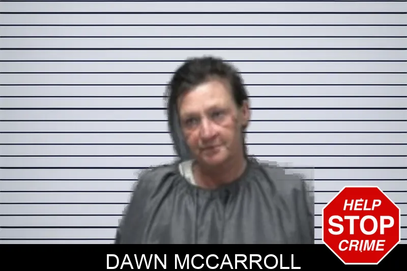 Dawn McCarroll mugshot – Forsyth County , Georgia Dawn McCarroll mugshot