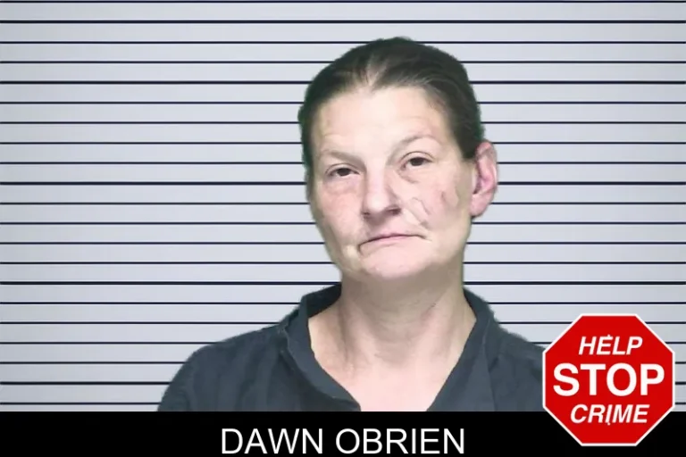 Dawn Obrien mugshot – Appling County , Georgia Dawn Obrien