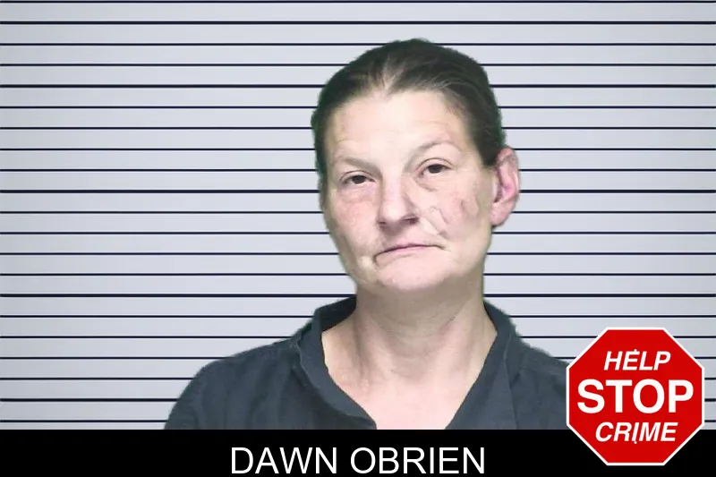 Dawn Obrien mugshot