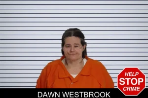 Dawn Westbrook mugshot