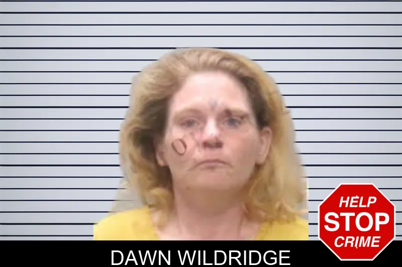 Dawn Wildridge mugshot