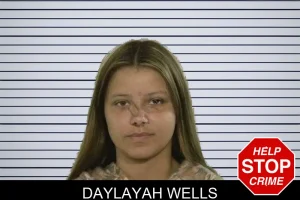 Daylayah Wells mugshot