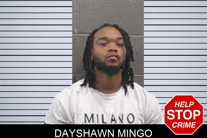 Dayshawn Mingo mugshot