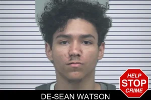 De-Sean Watson mugshot