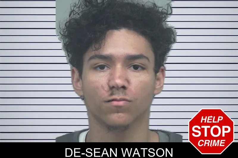 De-Sean Watson mugshot