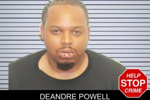 DeAndre Powell mugshot