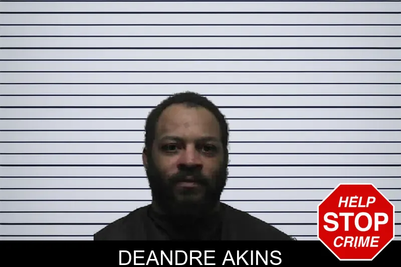 Deandre Akins mugshot