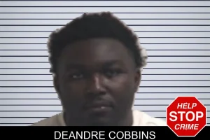 Deandre Cobbins mugshot