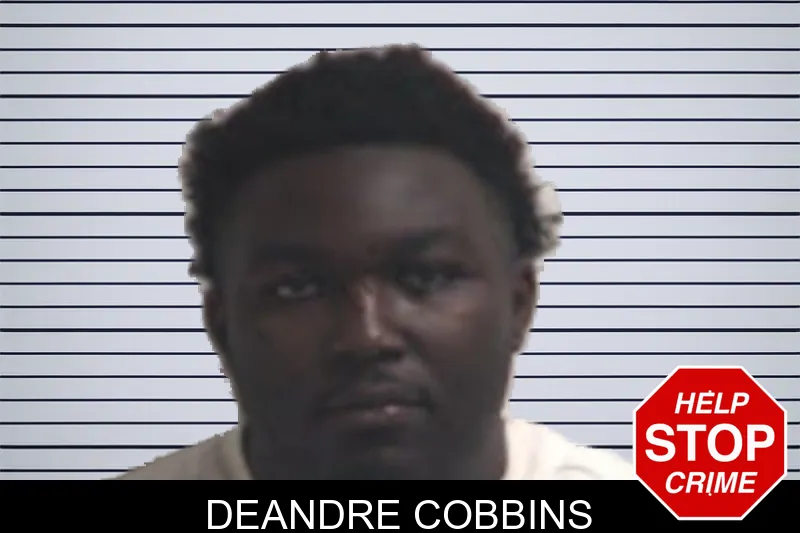 Deandre Cobbins mugshot