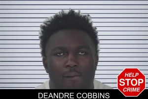 Deandre Cobbins mugshot