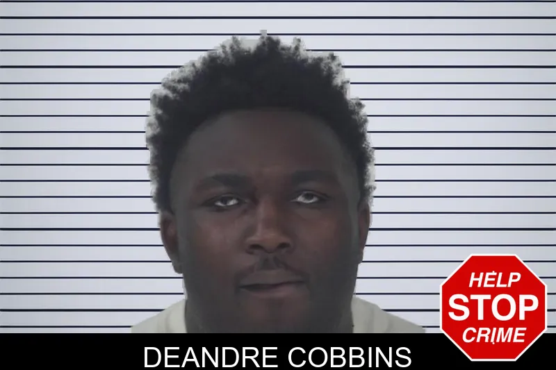 Deandre Cobbins mugshot