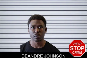 Deandre Johnson mugshot