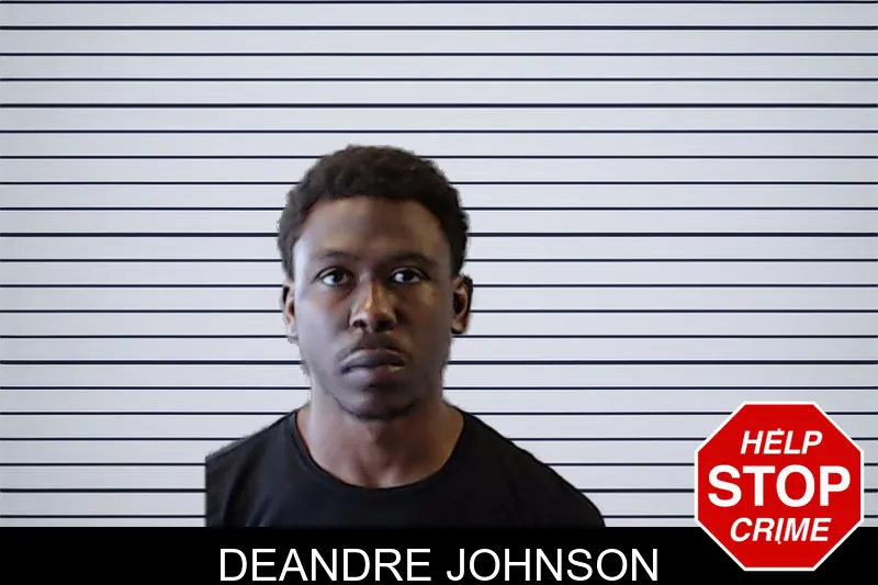 Deandre Johnson mugshot