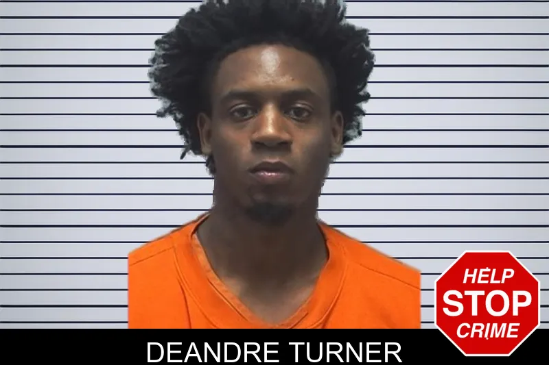 Deandre Turner mugshot – Cherokee County , Georgia Deandre Turner mugshot
