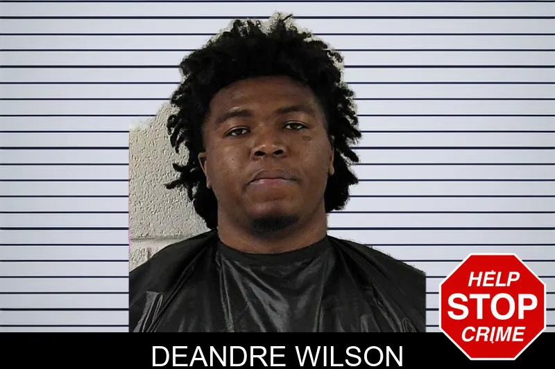Deandre Wilson mugshot