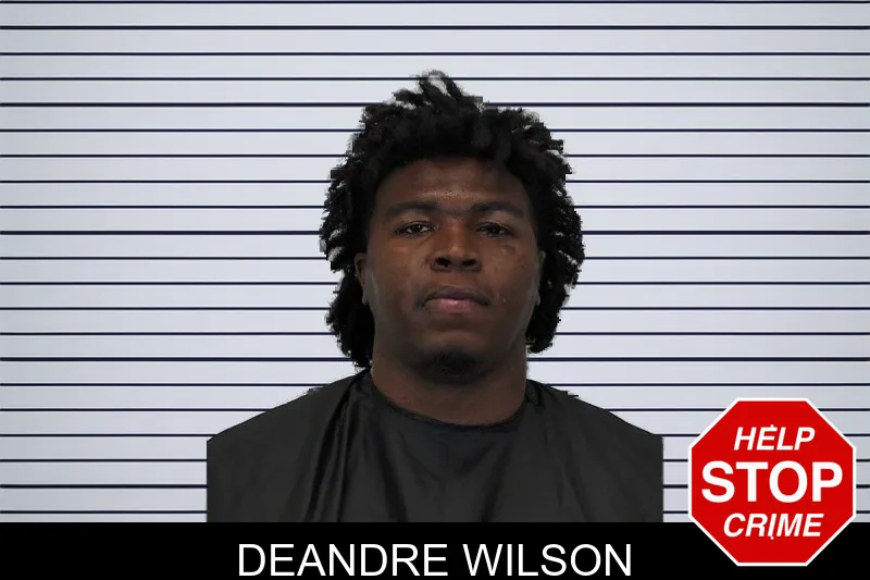 Deandre Wilson mugshot