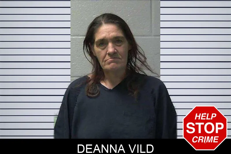 Deanna Vild mugshot