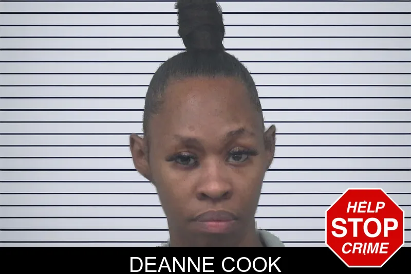 Deanne Cook mugshot