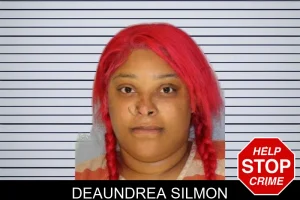 Deaundrea Silmon mugshot