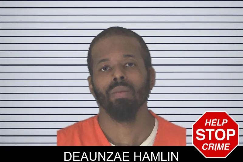 Deaunzae Hamlin mugshot