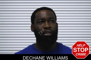 Dechane Williams mugshot