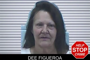 Dee Figueroa mugshot