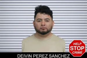 Deivin Perez Sanchez mugshot