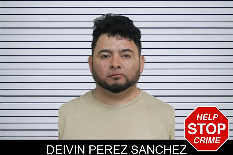 Deivin Perez Sanchez mugshot