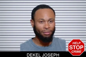 Dekel Joseph mugshot