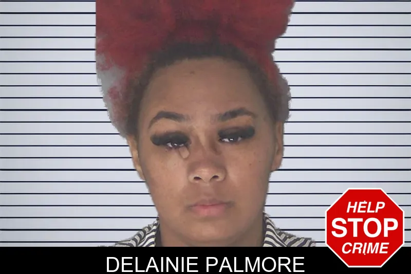 Delainie Palmore mugshot