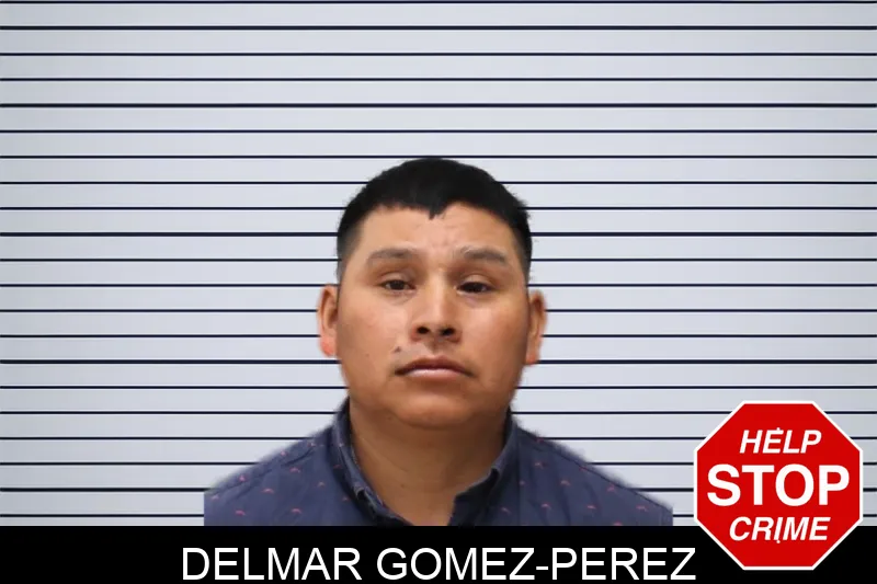 Delmar Gomez-Perez mugshot
