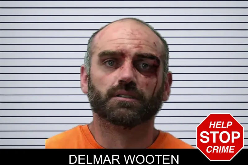 Delmar Wooten mugshot