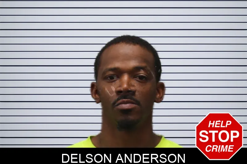 Delson Anderson mugshot