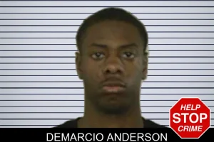 Demarcio Anderson mugshot