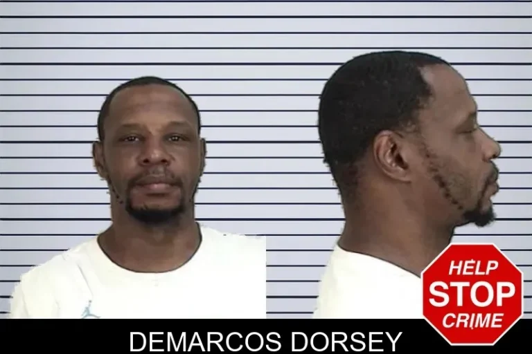 Demarcos Dorsey mugshot – Camden County , Georgia Demarcos Dorsey