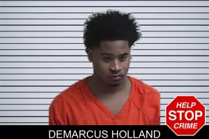 Demarcus Holland mugshot