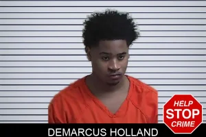 Demarcus Holland mugshot