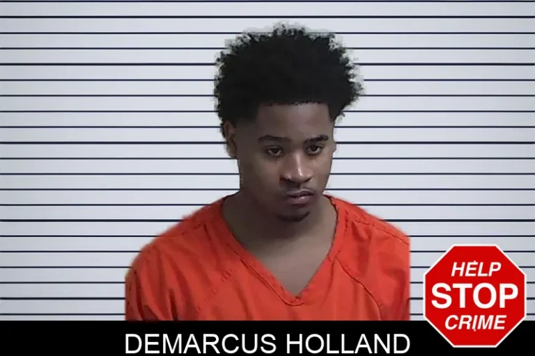 Demarcus Holland mugshot – Fannin County , Georgia Demarcus Holland